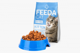 อาหารแมว
